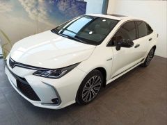 Toyota Corolla Uyumlu 2019+ Ayna Kapağı - Karbon