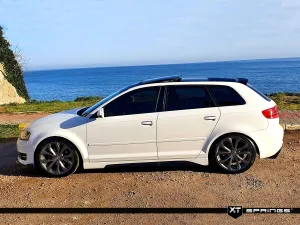 Drs Tuning Audi A3 8P 1.4Tfsi/1.8Tfsi/2.0Fsi/1.6Tdi/1.9Tdi XT Spor Yay -45mm thumb 4
