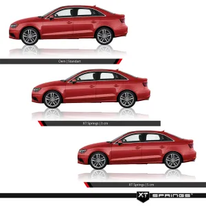 Mustang GT 5.0 V8 2014- Sonrası XT Spor Yay -35/30mm thumb 3