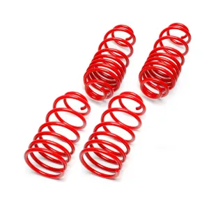Renault Clio 5 2019- Sonrası Coil-ex Spor Yay -40mm thumb 2