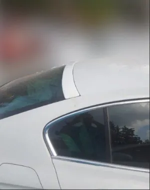 Passat Uyumlu B8.5 Spoiler Cam Üstü