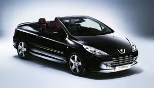 Coil-Ex Peugeot Uyumlu 307 -32001 Sonrası Spor Yay 45 / 45 Mm
