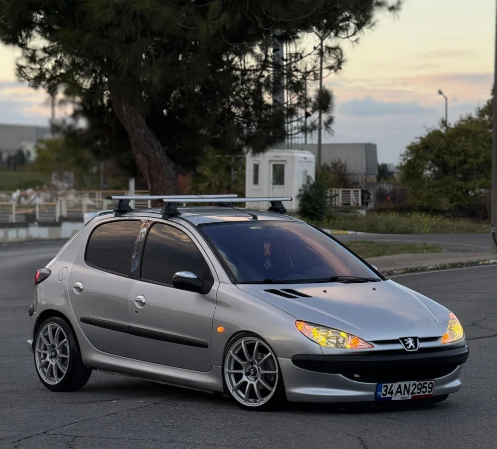 Coil-Ex Peugeot Uyumlu 206 06.1999-Sonrası Spor Yay 45 Mm