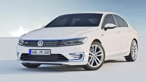 Coil-Ex Passat 2015 Sonrası Spor Yay 30 / 30 Mm