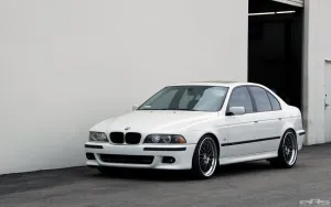 Bmw 5 Serisi 1995-2003 (E39) Coil-Ex 5 Seri Arası Spor Yay 35 / 35 Mm